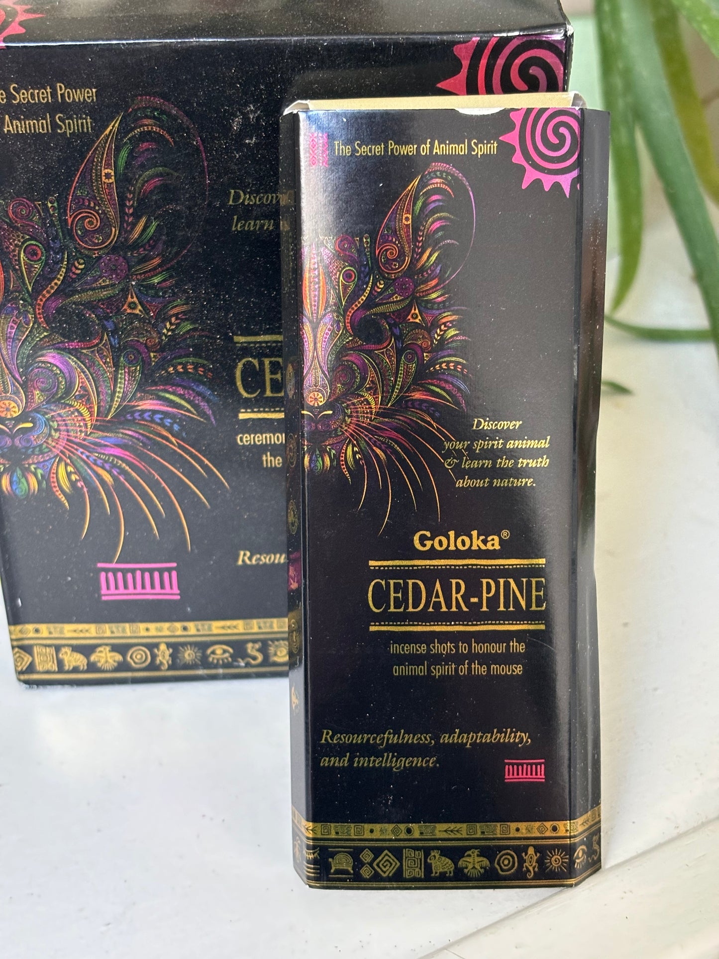 Goloka Cedar-Pine Smudge Incense - 8 sticks