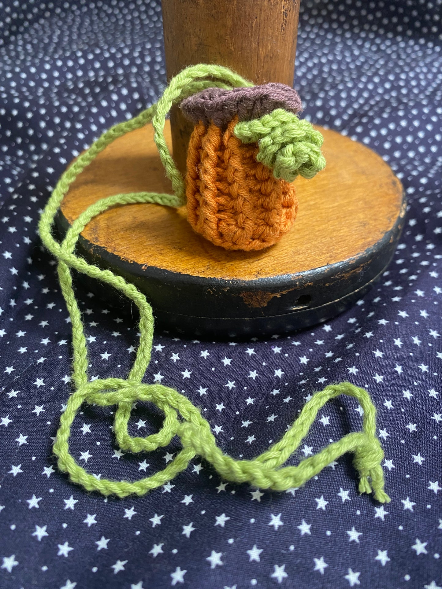 Pumpkin Necklace Pouch