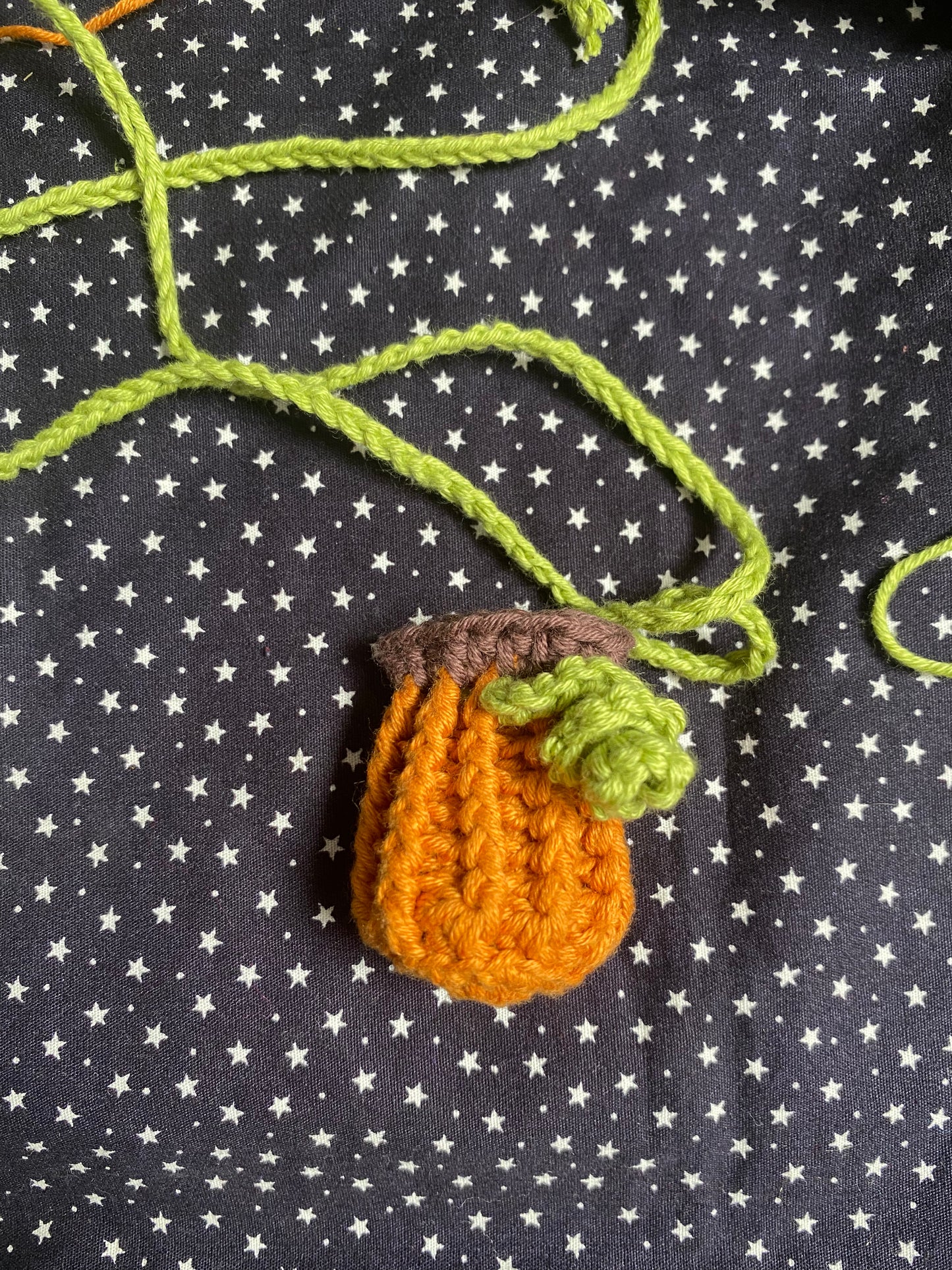 Pumpkin Necklace Pouch