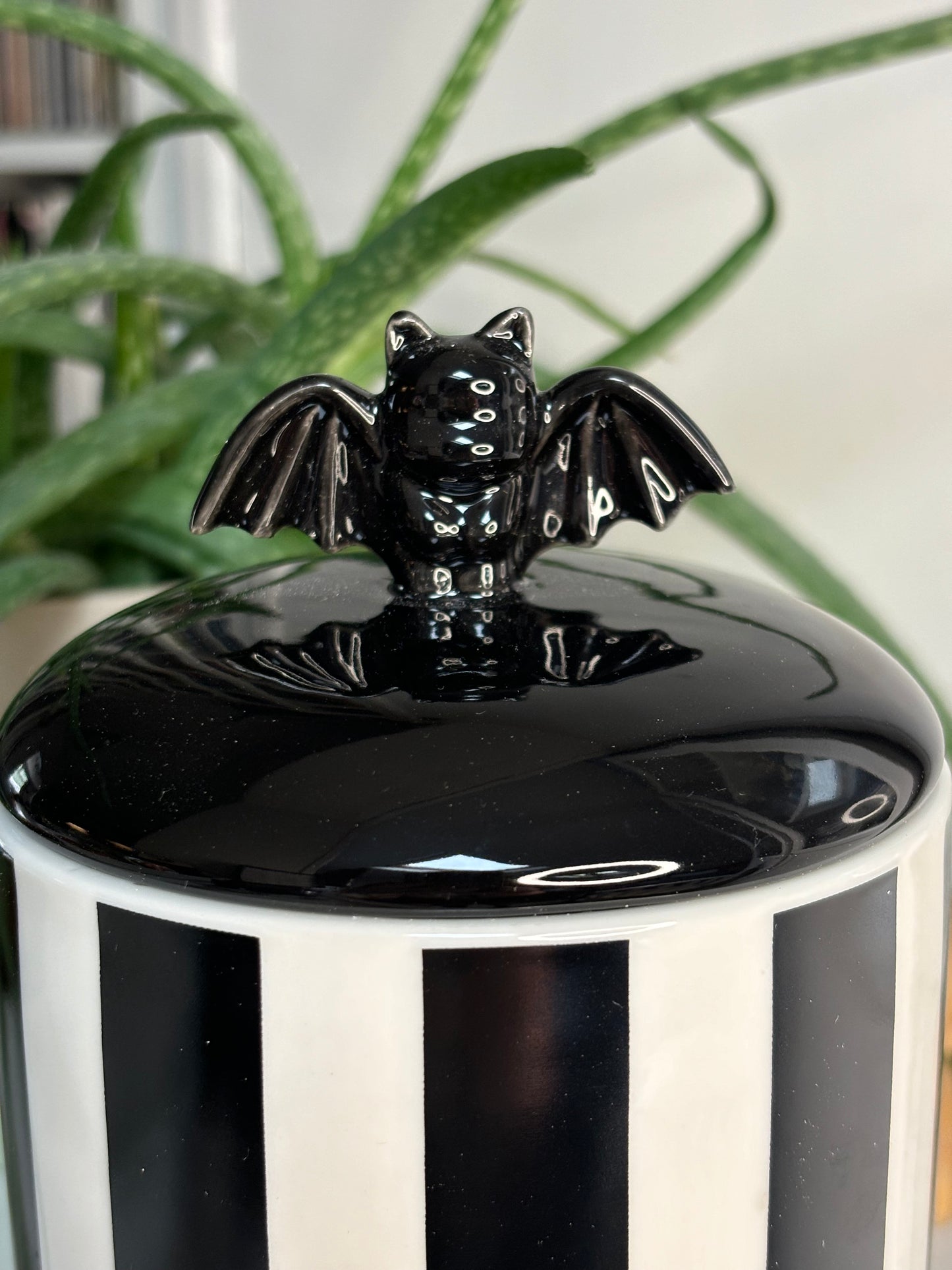 Striped Bat Storage Jar