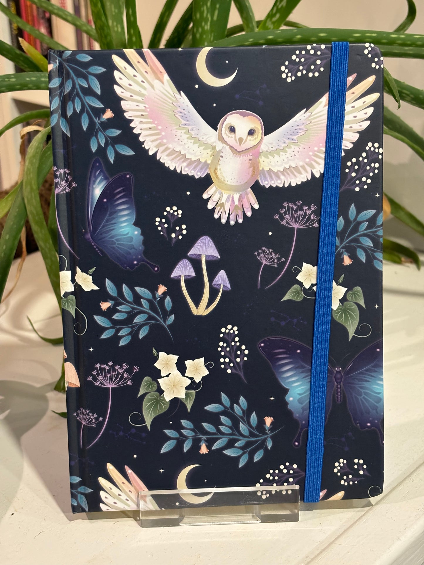 Night Flight Owl Lined Notebook