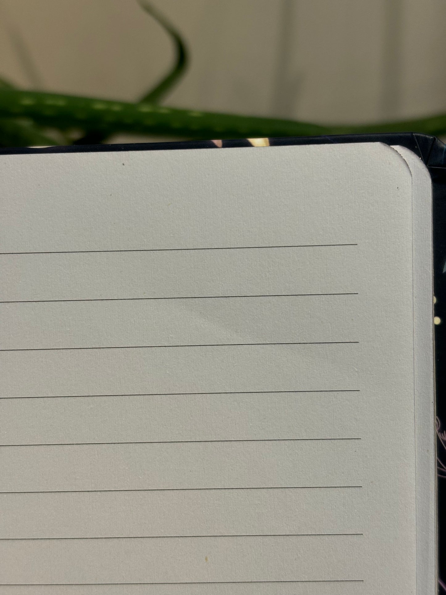 Night Flight Owl Lined Notebook