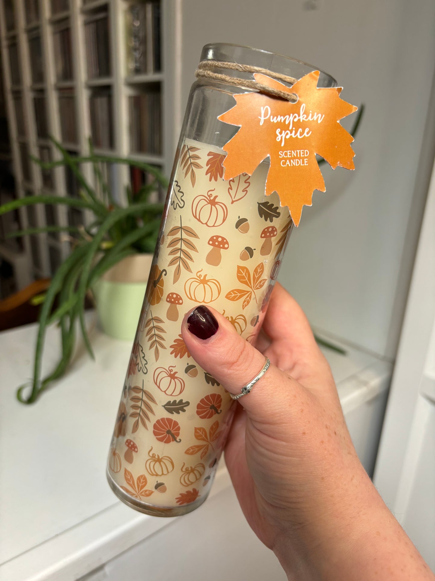 Autumn Leaves Pumpkin Spice Scented Tube Candle