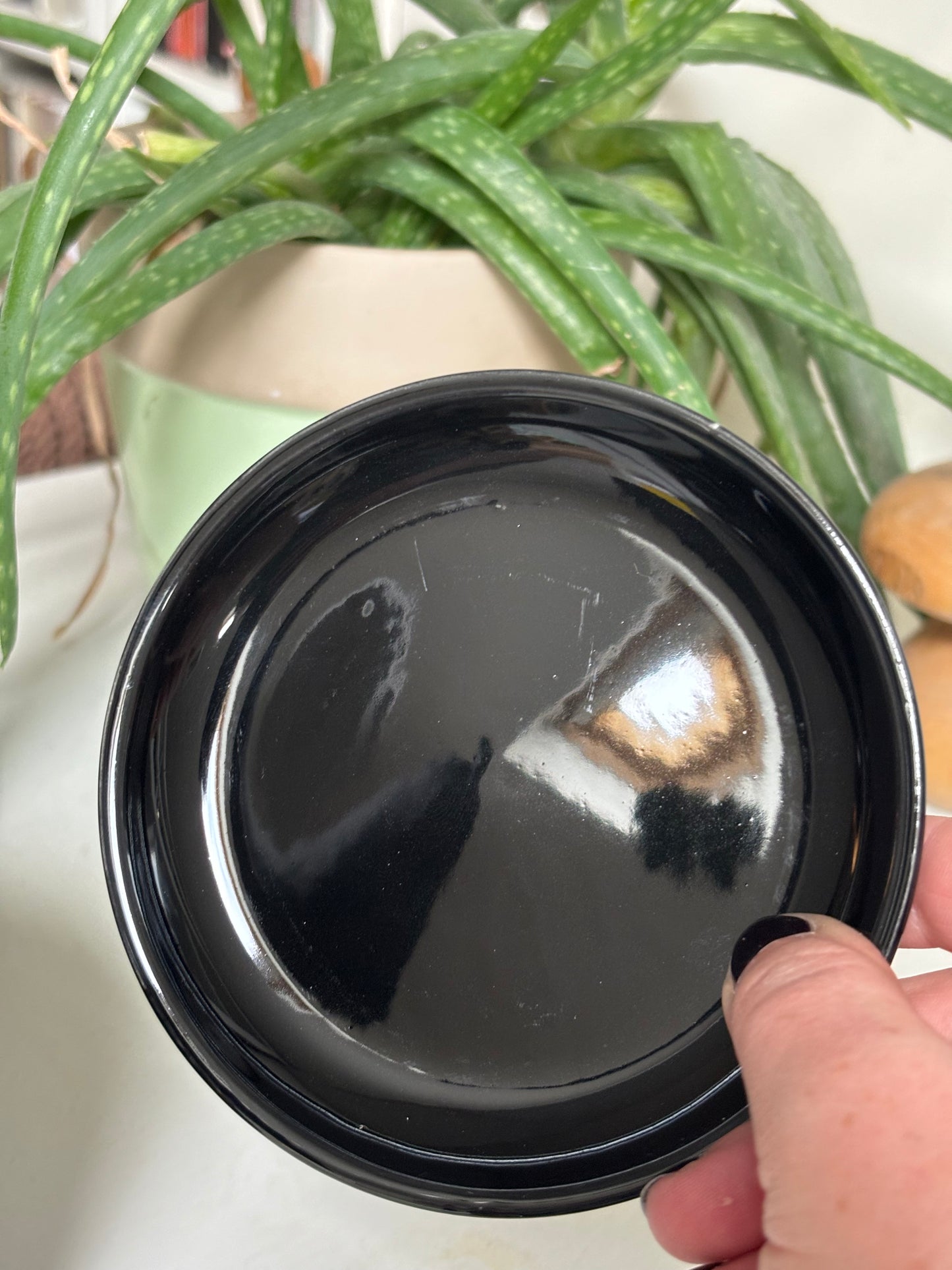 Dark Forest Plant Pot & Saucer