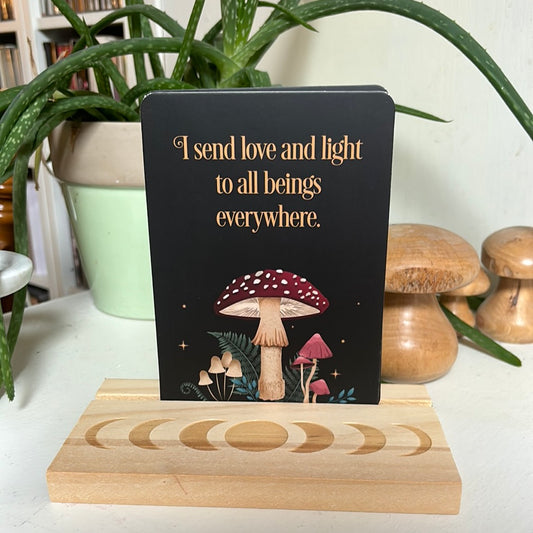 Dark Forest Affirmation Cards & Stand